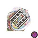 Pentathlon Flight Standard - Clear Colorful
