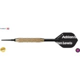 Softtip Dart Target - Adrian Lewis First Play Brass