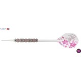 Soft Tip Dart Target - Girl Play Sexy