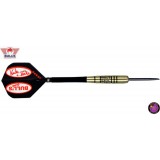 Steel Tip Darts Bulls - Winner Karsten Koch