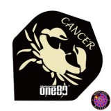 Constellation Flight Standard - Cancer