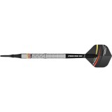 Softtip Darts Precise 180 - Ricardo Pietreczko