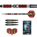 Soft Dartpfeil Set Red Dragon - Gerwyn Price Firebird