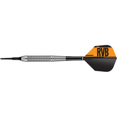 Softtip Dart Target - Raymond van Barneveld Tungsten Look Brass