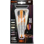 Soft Dartpfeil Set Target - Raymond van Barneveld RVB80