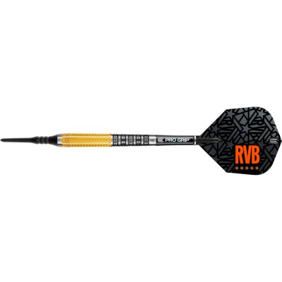 Softtip Dart Target - Raymond van Barneveld RVB95 Gen 2