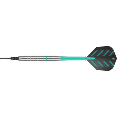 Soft Dartpfeil Set Target - Rob Cross Silver Voltage