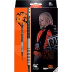 Softtip Dart Target - Raymond van Barneveld RVB95 Gen 3