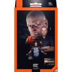 Softtip Dart Target - Raymond van Barneveld RVB95 Gen 4