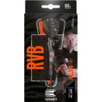 Softtip Dart Target - Raymond van Barneveld Black