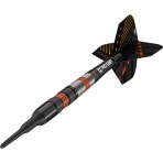 Softtip Dart Target - Raymond van Barneveld Black