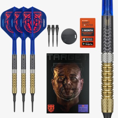Softtip Dart Target - Raymond van Barneveld Gen6