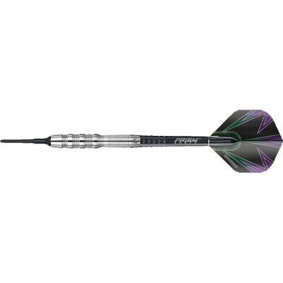 Soft Tip Darts Winmau - Simon Whitlock "The Wizard" Silver