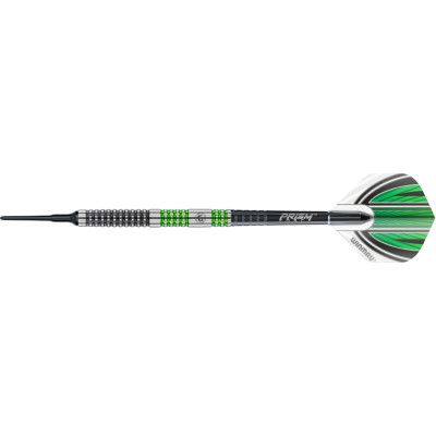 Softtip Darts Winmau - Daryl Gurney Spezial Edition