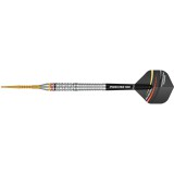 Steeltip Darts Precise 180 - Ricardo Pietreczko