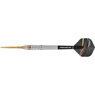 Steeltip Darts Precise 180 - Ricardo Pietreczko