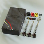 Steeltip Darts Precise 180 - Ricardo Pietreczko