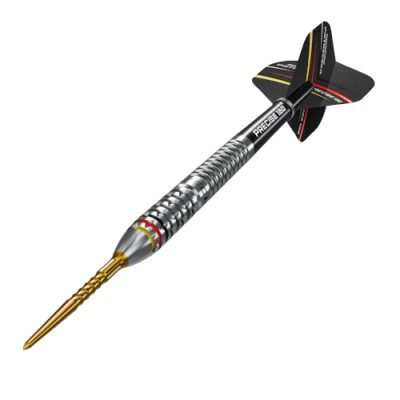 Steeltip Darts Precise 180 - Ricardo Pietreczko