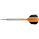 Steeltip Dart Target - Raymond van Barneveld RVB80