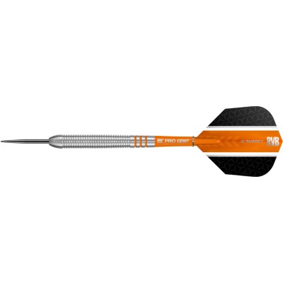 Steel Dartpfeil Set Target - Raymond van Barneveld RVB80