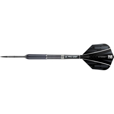 Steeltip Dart Target - Raymond van Barneveld RVB95