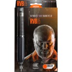 Steeltip Dart Target - Raymond van Barneveld RVB95