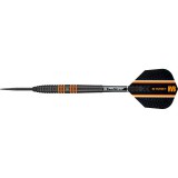 Steeltip Dart Target - Raymond van Barneveld Black Tungsten