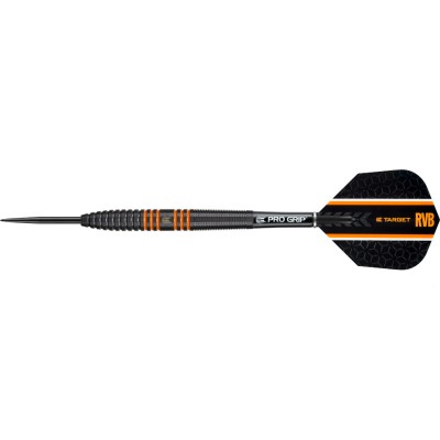 Steeltip Dart Target - Raymond van Barneveld Black Tungsten