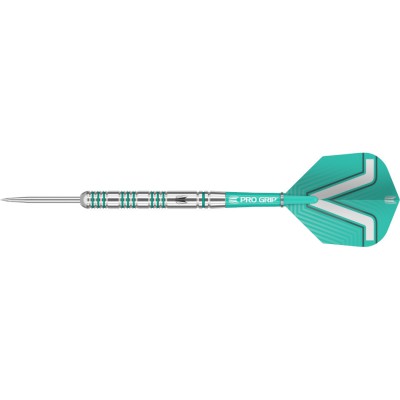 Steel Tip Dart Target - Rob Cross 80