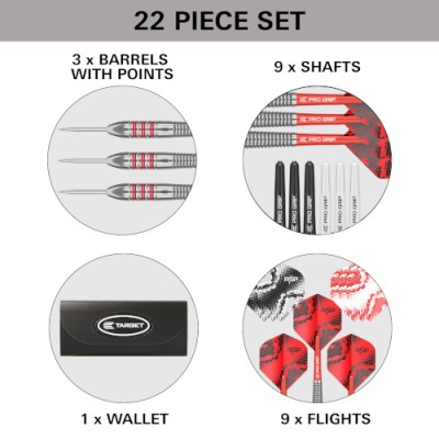 Steeltip Dart Target - Nathan Aspinall Brass