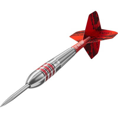 Steeltip Dart Target - Nathan Aspinall Brass