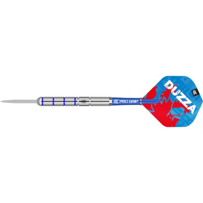 Steeltip Dart Target - Glen Durrant