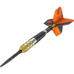 Steeltip Dart Target - Raymond van Barneveld RVB95 G4 Swiss Point