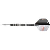 Steeltip Dart Target - Raymond van Barneveld RVB95 x Echo SP