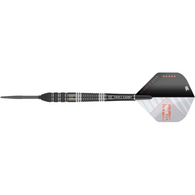 Steel Dartpfeil Set Target - Raymond van Barneveld RVB95 x Echo SP