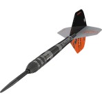 Steeltip Dart Target - Raymond van Barneveld RVB95 x Echo SP