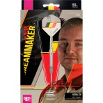 Steeltip Dart Target - Dimitri van den Bergh G1 SP