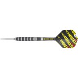 Steeltip Dart Target - Dimitri van den Bergh 80