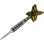 Steeltip Dart Target - Dimitri van den Bergh 80