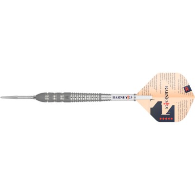 Steeltip Dart Target - Raymond van Barneveld Barney25