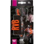 Steeltip Dart Target - Raymond van Barneveld Black SP