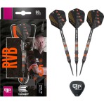 Steeltip Dart Target - Raymond van Barneveld Black SP