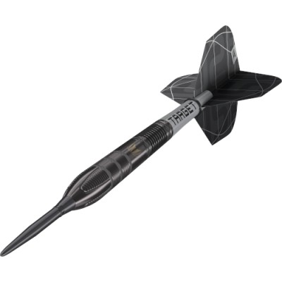 Steel Dartpfeil Set Target - Nathan Aspinall Echo SP