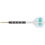 Steel Tip Dart Target - Rob Cross 95K Swiss Point