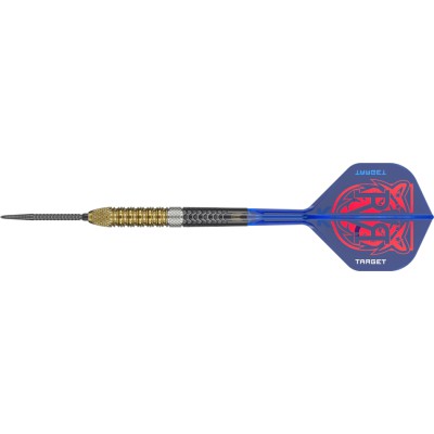 Steel Dartpfeil Set Target - Raymond van Barneveld Gen6 SP