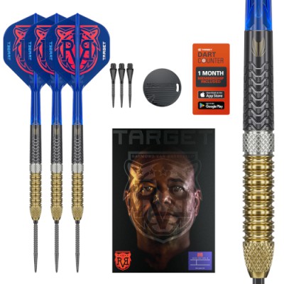 Steel Dartpfeil Set Target - Raymond van Barneveld Gen6 SP