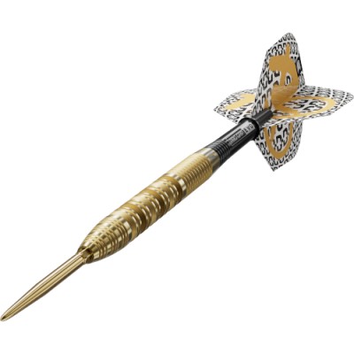 Steel Dartpfeil Set Target - Bolide Envy 01
