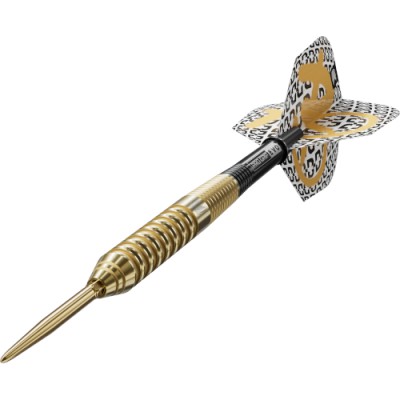 Steel Dartpfeil Set Target - Bolide Envy 02