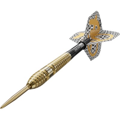 Steel Dartpfeil Set Target - Bolide Envy 03