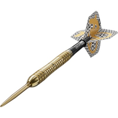 Steel Dartpfeil Set Target - Bolide Envy 04